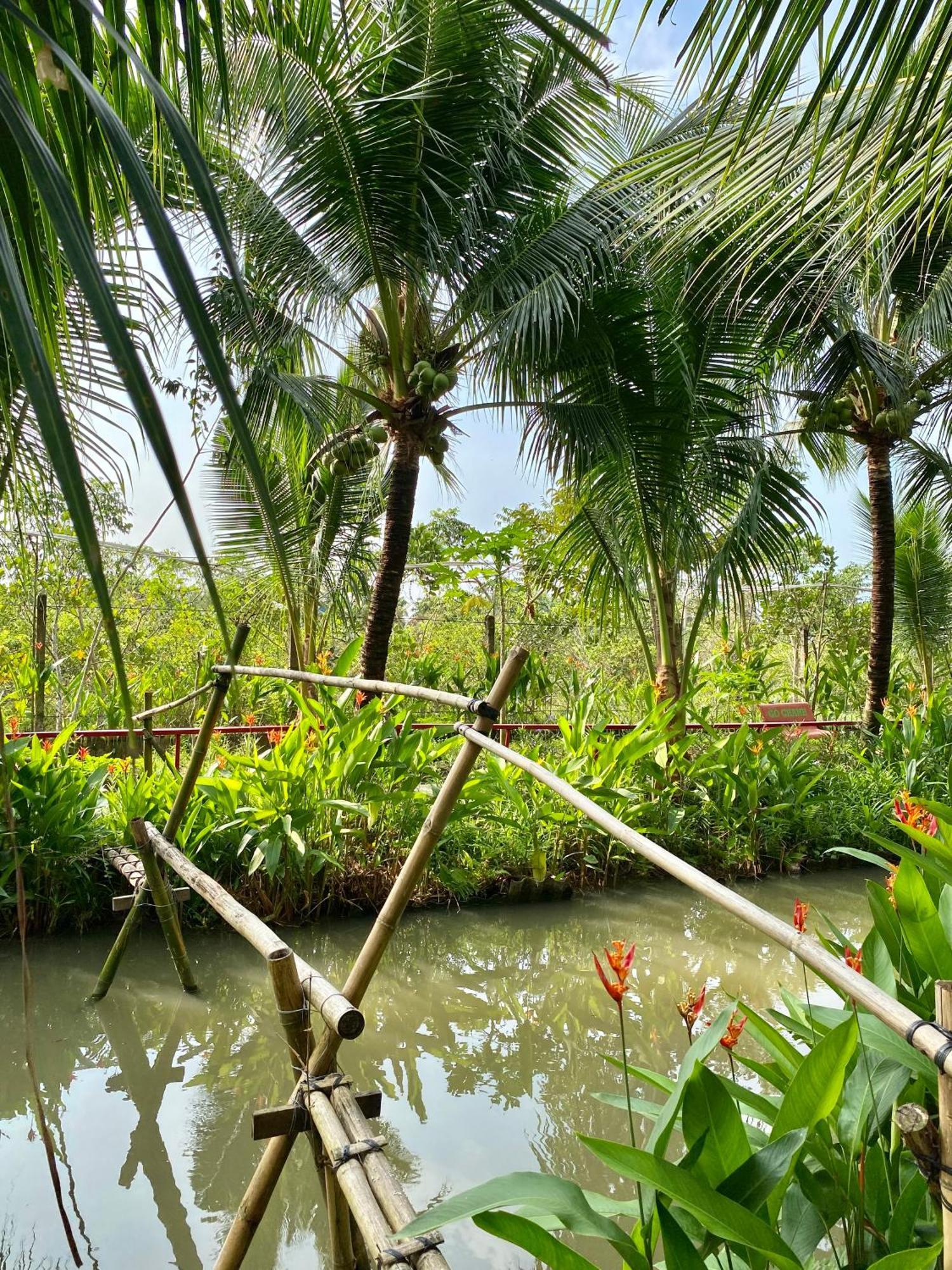Go Chanh Homestay Cai Rang Eksteriør billede